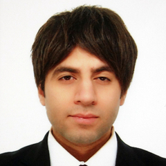 Hasan Almahr