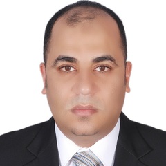 Mohamed  Ahmed Elsayed Sleem