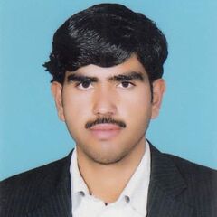 Shamim Hussain