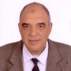 Mohammed Abdel Maksoud Galaby Abdel Maksoud 