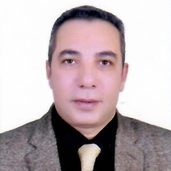 Tawfik Zaky Tawfik Ibrahim, Sheet metal Factory Manager