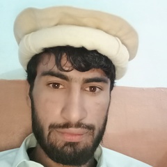 Muhammad Amir