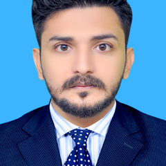 Muhammad Zaeem Ul Hassan