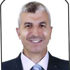 Ashraf Abd Alla Ahmed Moussa Moussa, Lead Mechanical Engineer