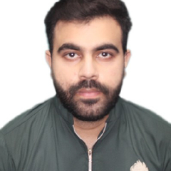 Muhammad HAMZA Amjad Hameed