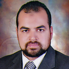 Mohamed Elsayad, مدير حسابات