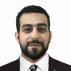 Wael Issam Elsayed Ahmed Mabrouk, accounting manager