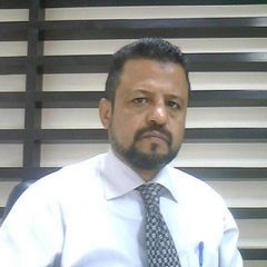 محمد المنتصر محمد سري الدين محمد صالح, Legal Consultant