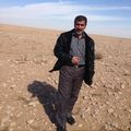 ALI AL-HAMDANY, مدير مختبرات مراقبة الجودة للمياه