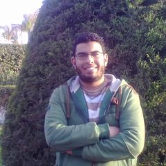 شهاب الدين طارق البارودي, Software  Expert 