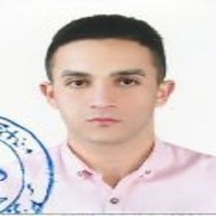 Bassem Madi, Network Engineer / Free Lance Cisco Instructor
