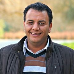 Tawab Abdelnaeem Tawab