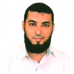 أحمد حمدى, محاسب مالى