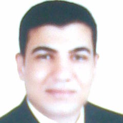 السعيد سعد حيطاوى عمرو, مدرس مساعد
