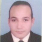 وليد عامر محمد سيد عامر محمد