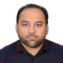 Syed Asad Abbas, Procurement Executive