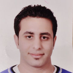 Ramez Safwat, Electrical Engineer