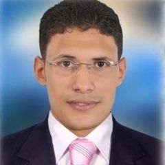 هشام النجار, مهندس استشاري 