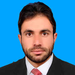 Arshad  ali, teacher