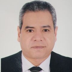 Mostafa Rifaat CMA, CFO