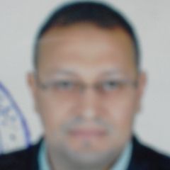 رضا ابو الخير, مدير بحوث وتطوير