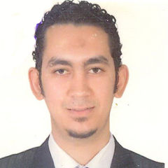 Ramy Rabeea Hosny Abd El-Haneed Abo Samra, مدير تكنولوجيا المعلومات