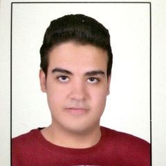 Ahmed Mohamed Mohamed  Hamdy