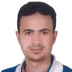 محمود حسين عز الدين العشماوي حسين, مسؤول كمبيوتر