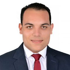 Mohamed Hammad, Technical Supervisor