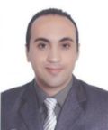 Ahmed Hafez, Senior ERP Engineer