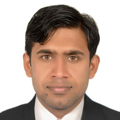 Muntazir Qamar, Functional Consultant