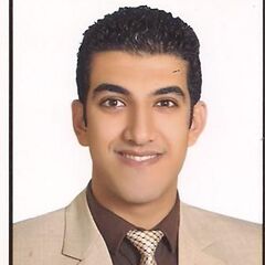 Mina Hassaballa