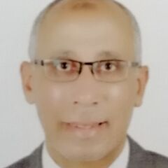 Mohamed Farrag, Financial Controller
