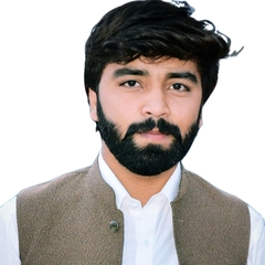 Rana khizar