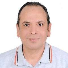 Ahmed Gewaly