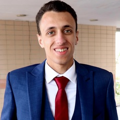 محمود عادل الطنطاوى , مهندس موقع