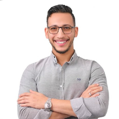 Ibrahim alashry alashry, Software Tester