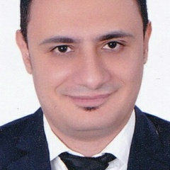 Ahmed Fawzi Fawzi