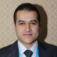 Mahmoud Mohamed Mahmoud Ibrahim, IT Auditor
