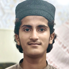 zulqarnain saeedi, Data Entry Assistant