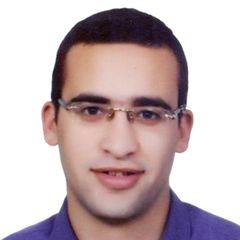 Mostafa Mohamed Abdelhamid Ibrahim Lasheen, Senior Accountant
