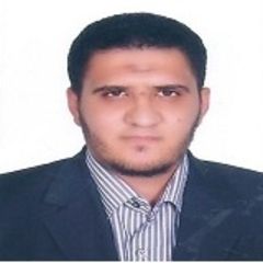 احمد حمدى, Sr. Mechanical Estimation and procurement Engineer