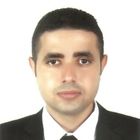 Hany Atef Tawfik, support engineer