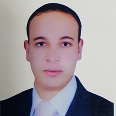 Shreif fathi el-sadiek al-said El-sadiek, biomedical engineer