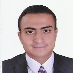 حسام كمال, senior analyst