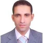 حامد عبدالعاطى, Technical Consultant