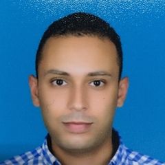 Mohamed  Farghaly  Hassan