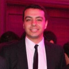 محمد  كريم, ERP Consultant