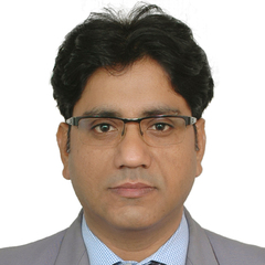 Rakesh Kumar, MEP Project Manager