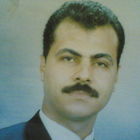Aly Abdelaziz, مفتش مالي وإداري